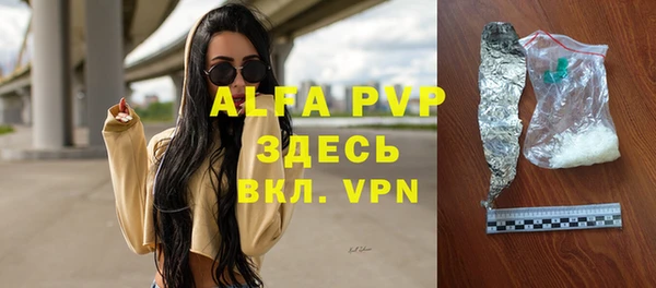 гашик Алексин