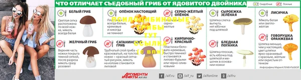 Альфа ПВП Алзамай