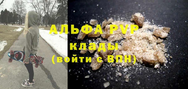 гашик Алексин