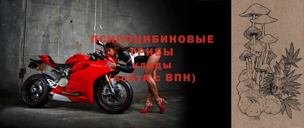 твердый Алексеевка