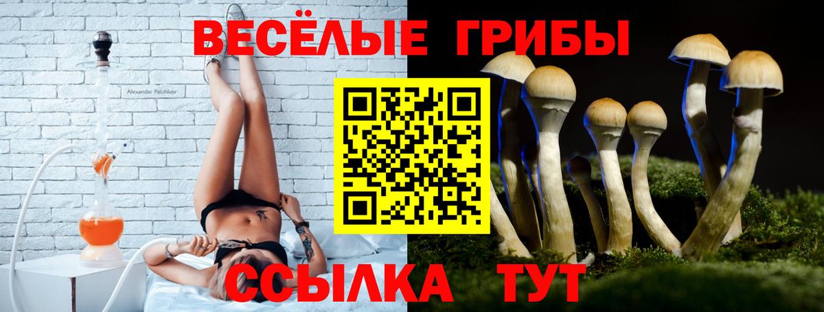 Петропавловск-Камчатский  Галлюциногенные грибы Psilocybine cubensis  Вход с VPN  Псилоцибиновые грибы мухоморы 