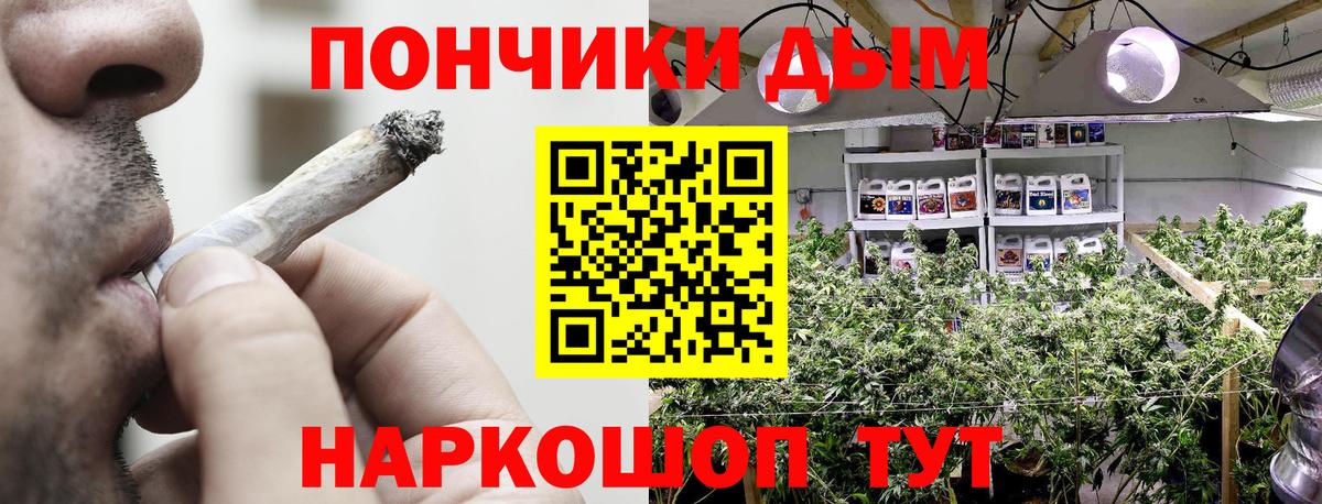 Шишки марихуана Bruce Banner Петропавловск-Камчатский